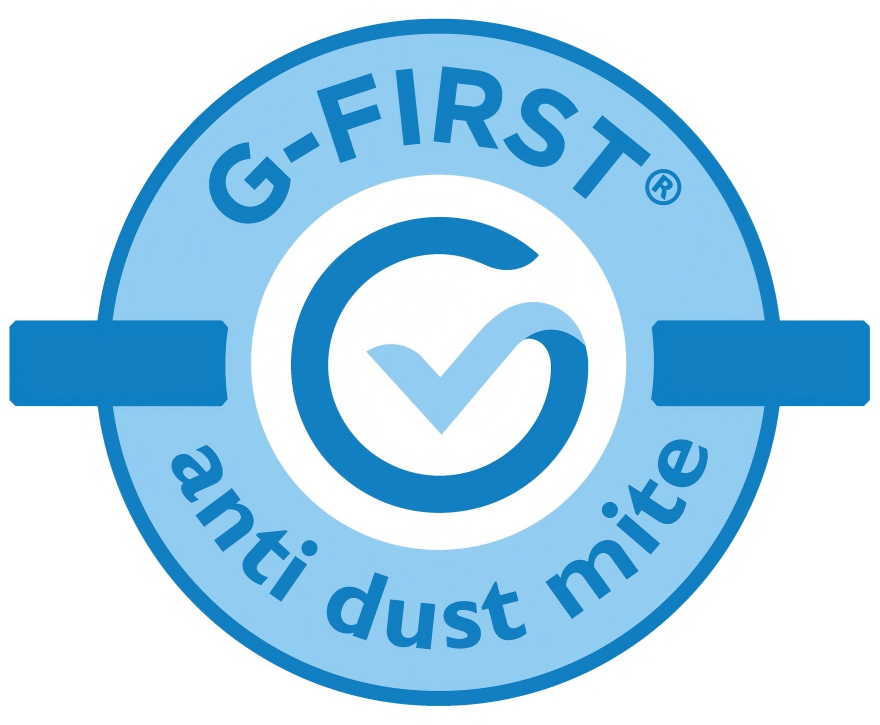 LOGO G-FIRST AA - EN.png